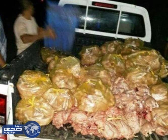 القبض على 5 عمال و غلق مسلخ غير نظامي بالقطيف