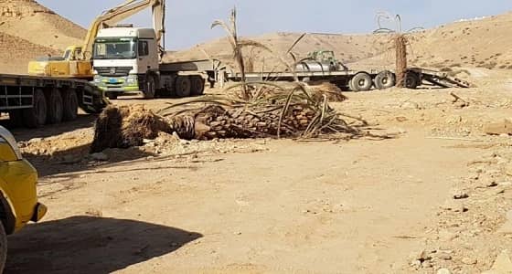 بالصور.. إزالة تعديات على الأراضي بوادي نيمار