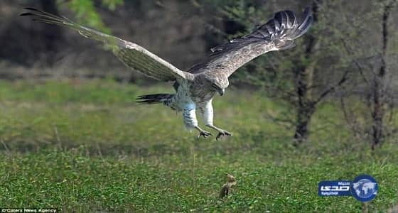 اتهام مغني " راب " بجريمة قتل