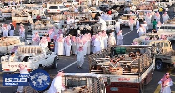 " زراعة الدوادمي " تطلق حملة " أضحيتي "