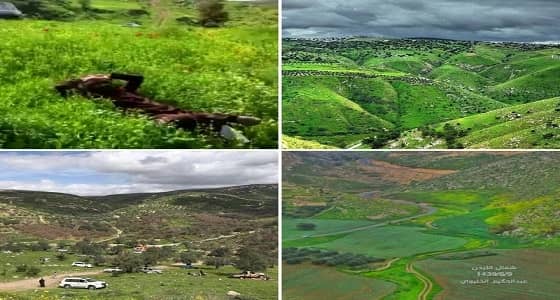 بالفيديو.. سائح سعودي يوثق جمال الأردن ومطالب بتكريمه