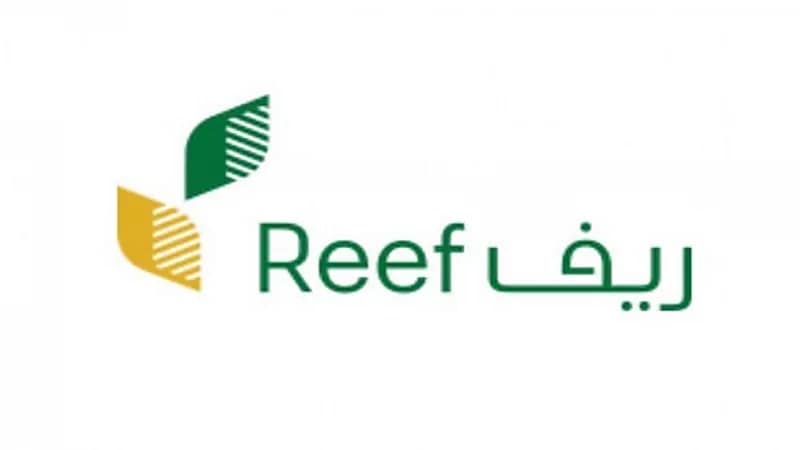 برنامج ريف يوضح مدة دراسة الأهلية لقطاع الأسر المنتجة