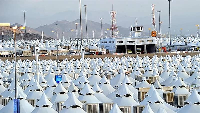 حظر جلوس الحجاج على الأرض أو المسطحات الخضراء بمشعر عرفات (فيديو)