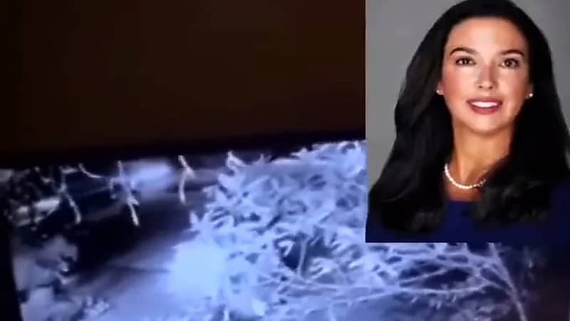 بالفيديو.. قاضية أمريكية تثير الجدل بـ "تصرف فاضح"