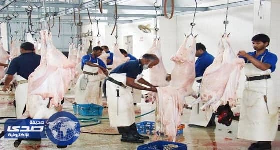 " أمانة عسير " تزيد نقاط ذبح الأضاحي