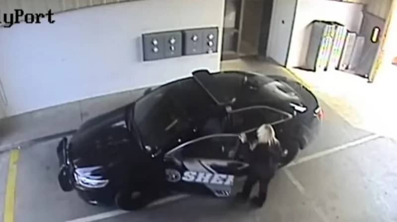 شاهد.. لحظة فرار مجرم خطير من السجن