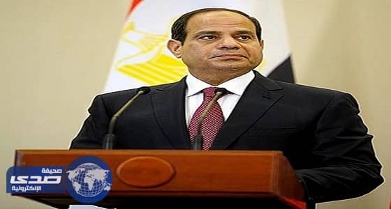 السيسي: لا يمكن لجهود محاربة الإرهاب أن تنجح دون حل القضية الفلسطينية