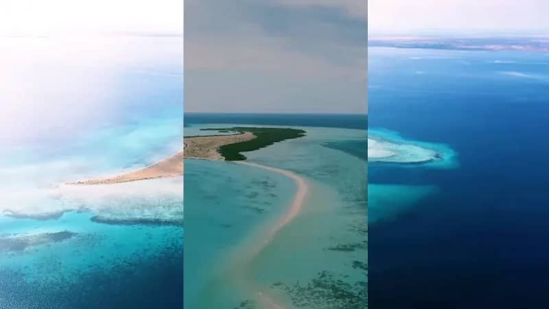 الهيئة السعودية للبحر الأحمر: 2023.. عام البناء والانطلاقة نحو اقتصادٍ مزدهر في السياحة الساحلية