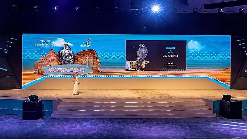 مزاد نادي الصقور يُضفي الإثارة في أول ليالي المزاد