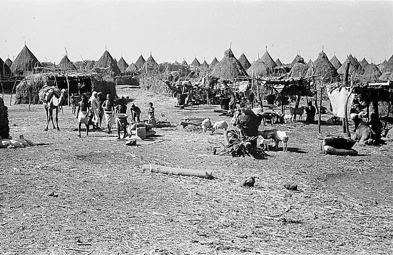 صورة تستحق التأمل لصبيا قديماً في منطقة جازان