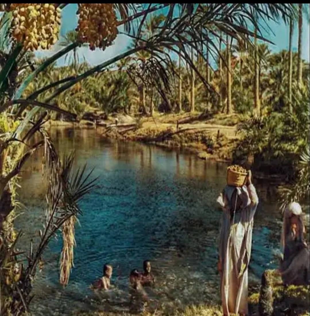 صورة شديدة الوضوح  لعين الخدود بالخمسينات الميلادية