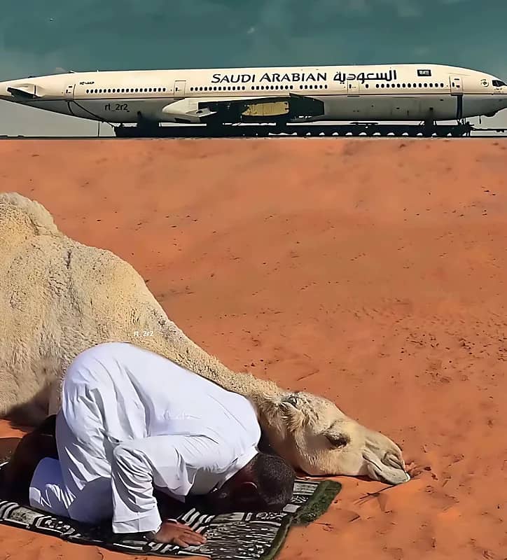 لقطة جميلة تستحق التأمل