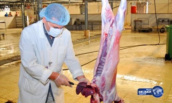 أمانة المدينة تسمح للمطابخ بذبح الأضاحي وفق الاشتراطات الصحية