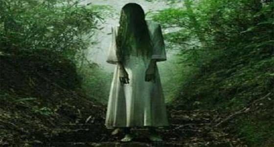 بالفيديو.. كائنات مرعبة كثيفة الشعر تظهر في متنزه عام