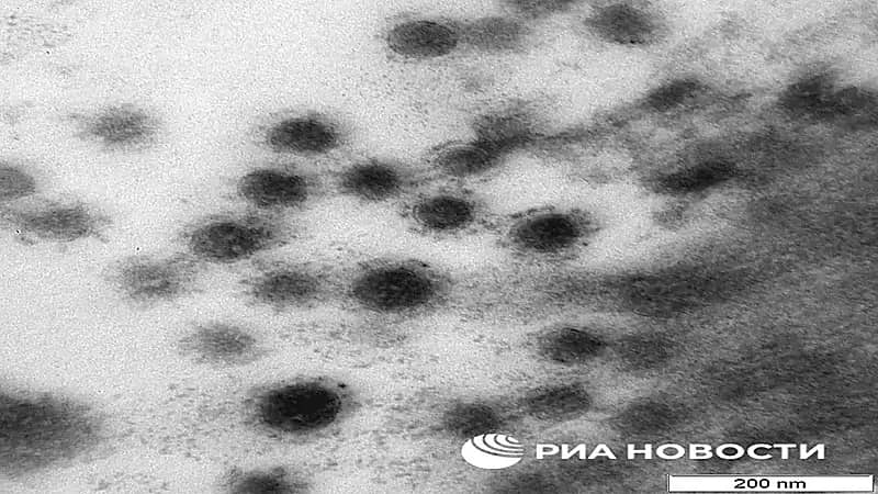 صور ملتقطة بالمجهر الإلكتروني توثق طريقة نمو متحور دلتا