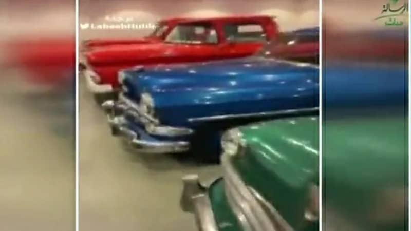 شاهد.. رد فعل شاب كوري خلال زيارته مزرعة في المملكة