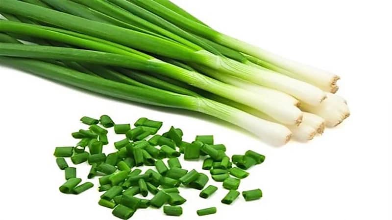 فيديو.. فوائد جمة للبصل الأخضر في علاج العديد من الأمراض