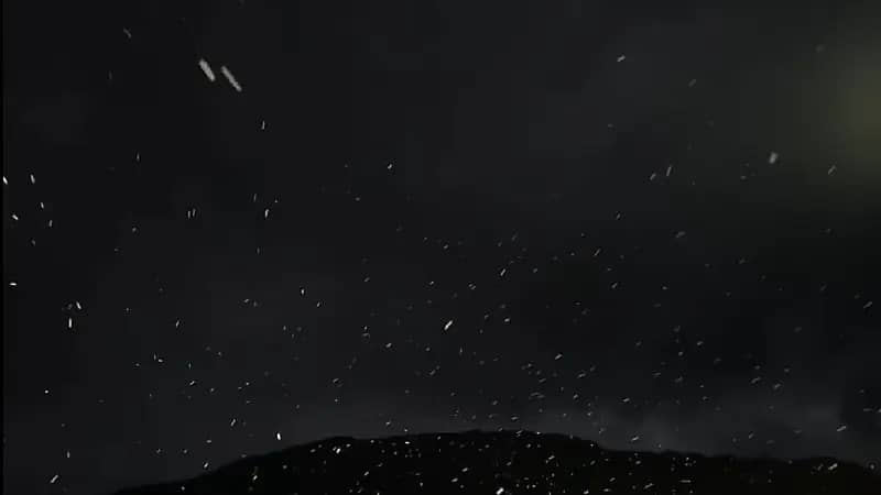 شاهد.. بدء تساقط الثلوج على قمم جبل اللوز في نيوم