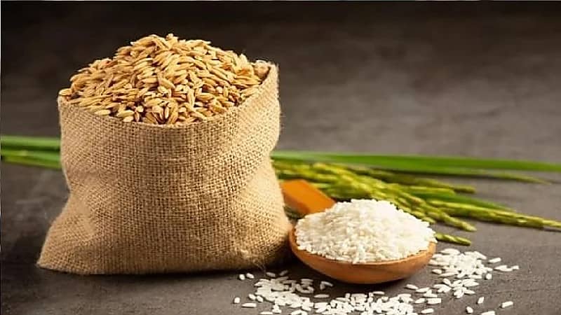 حكم دفع زكاة الفطر نقودا.. فيديو