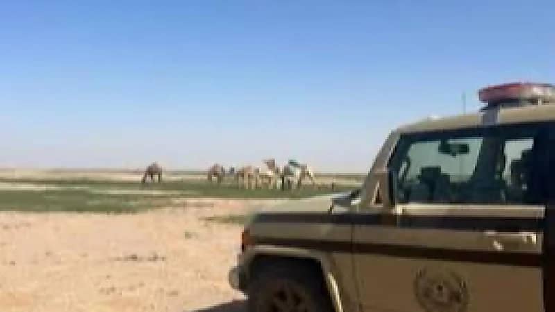 ضبط مخالف لنظام البيئة لارتكابه مخالفة رعي بمحمية الملك سلمان الملكية