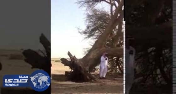 " الإعلام " تستدعي " العلويط " بعد مقاله عن الأضحية