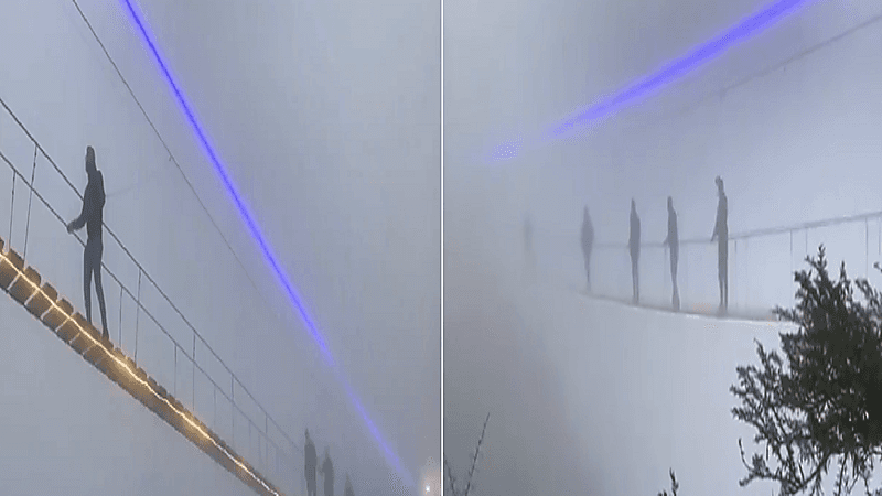 بالفيديو.. ممشى السحاب في غابة رغدان يجذب السياح والزوار