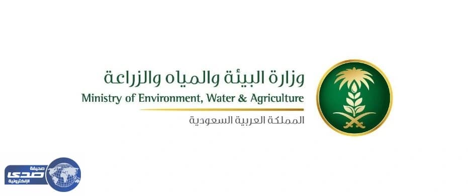 مواطن يتهم «المياه» بالتسبب في وفاة زوجته