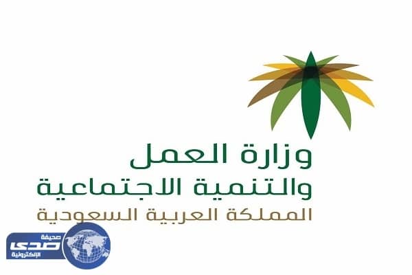 " العمل والتنمية الاجتماعية " تعتمد " حوكمة الجمعيات الأهلية " وإتاحة 60 ألف فرصة عمل في القطاع غير الربحي