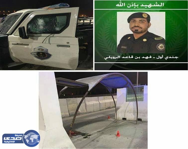 بالصور .. أبرز المقتولين والمضبوطين من العناصر الإرهابية في 2017