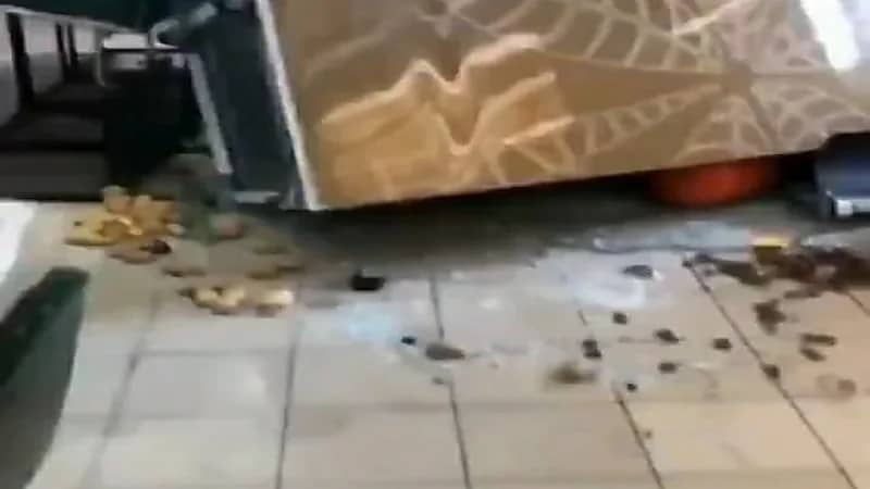 بالفيديو.. فتاة تفقد السيطرة على مركبتها وتقتحم مول تجاري