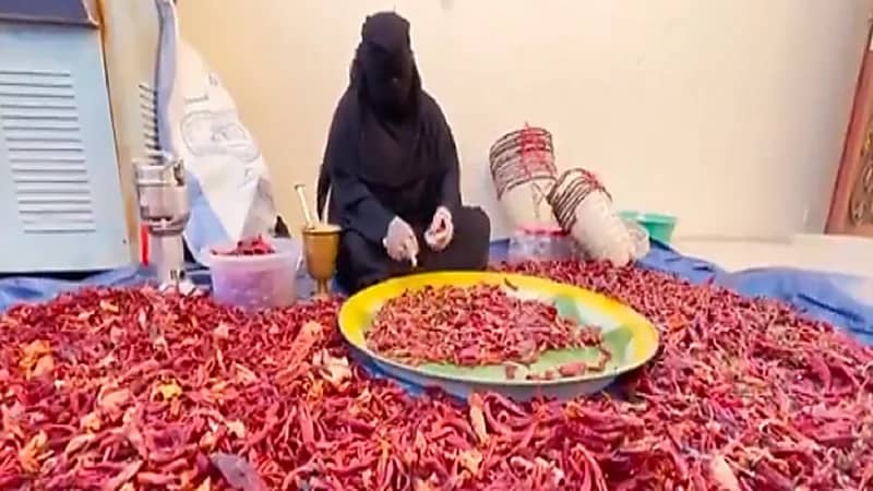 بالفيديو.. سيدات سعوديات يحترفن صناعة "الصرار" الشهيرة في حائل