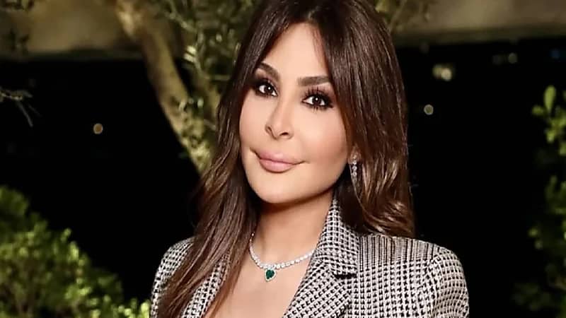 إليسا تقع في فخ زلة لسان:  الشباب العربي يعاني من البطاطا (فيديو)