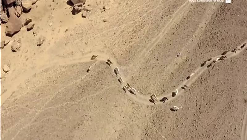 شاهد.. تسجيل محمية حرة عويرض ضمن برنامج الإنسان والمحيط الحيوي في اليونسكو