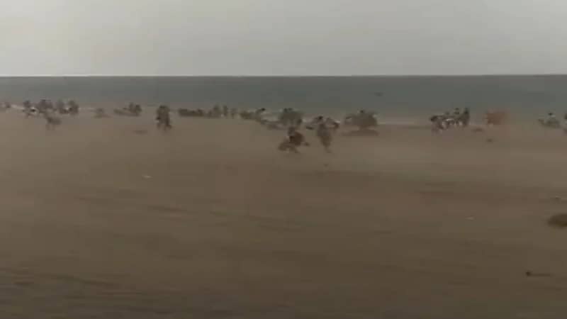 شاهد.. عاصفة رملية تضرب شواطئ زموري ببومرداس في الجزائر 