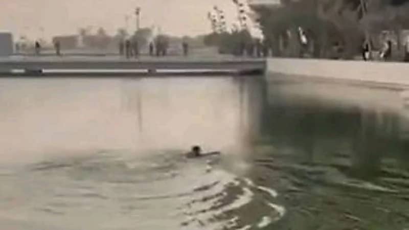 بالفيديو.. مشجع عراقي يسبح بجذع نخلة لدخول ملعب البصرة