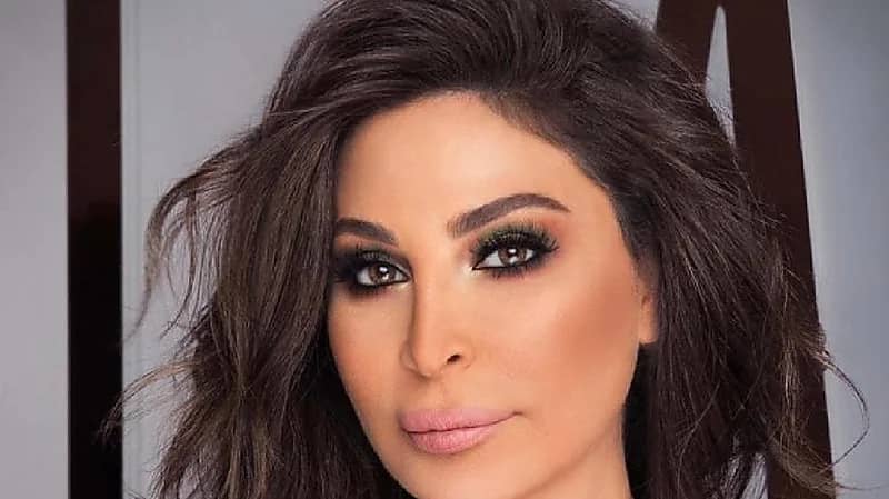 شاهد .. إليسا تظهر مختفية وحارسها يهاجم أحد معجبيها