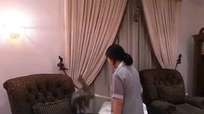 عدم توفر غرفة نوم وإنترنت أبرز شكاوى العاملات المنزليات بالمملكة (فيديو)