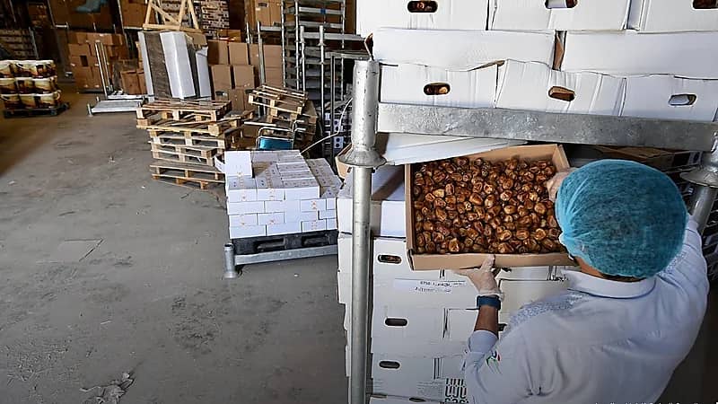 "الغذاء والدواء" تضبط أكثر من 11 طناً من المنتجات المخالفة