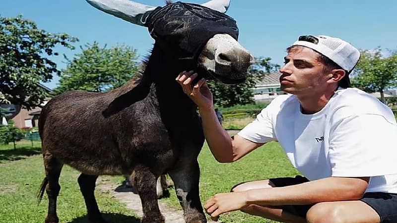 نجم تشيلسي يكشف سبب وصفه بـ"الحمار"