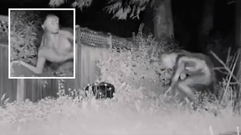 ظهور كائنات فضائية في أمريكا يثير السخرية.. فيديو