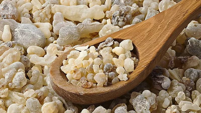 فوائد اللبان المر باعتباره كورتيزون طبيعي