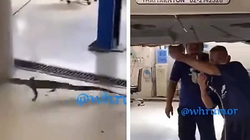 ذهب للوكالة يشتكي من صوت في السيارة والنتيجة "ضب"..فيديو