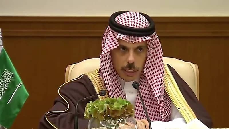 وزير الخارجية: ركزنا جهودنا على حقوق الشعب الفلسطيني في تحقيق المصير .. فيديو