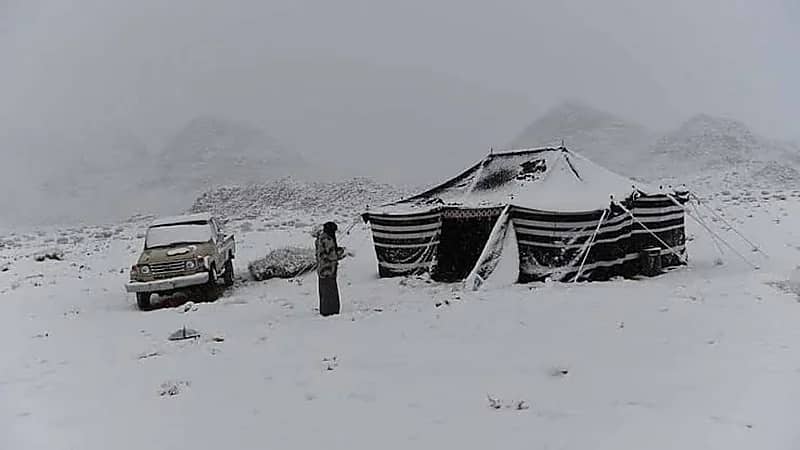 الأرصاد: استمرار الأمطار يومين وتساقط الثلوج في المناطق الشمالية  ..  فيديو