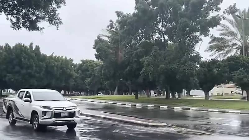 الفازنلي: الحرارة  لم تصل لذروتها  ومازالت توجد ملامح الشتاء ..فيديو