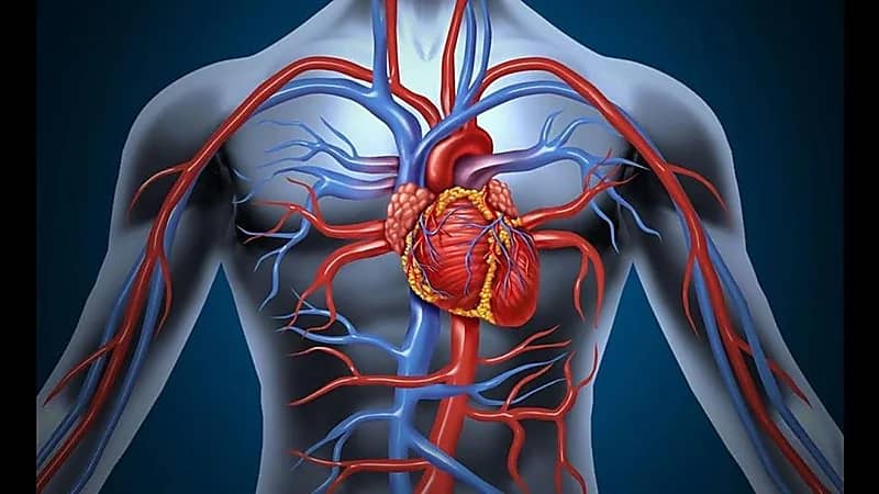 النمر:علاج الأوزون لايفتح شرايين القلب المسدودة
