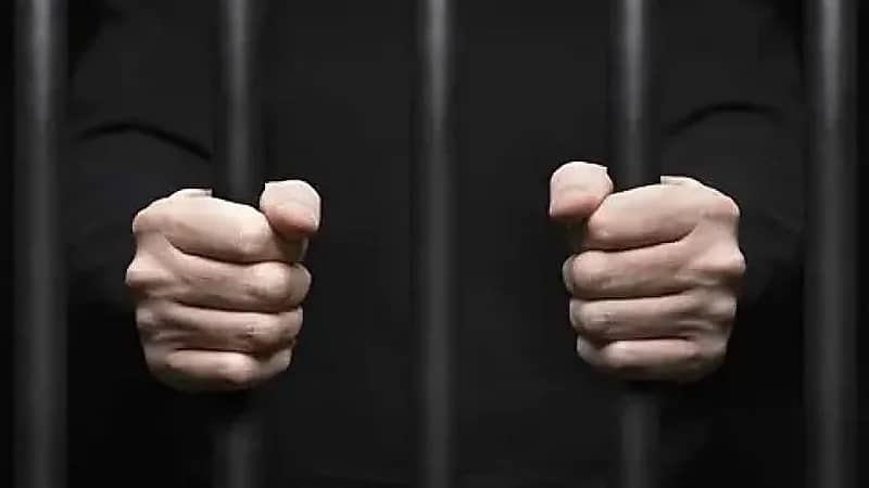 القبض على المتهم بذبح قطة في بث مباشر على مواقع التواصل