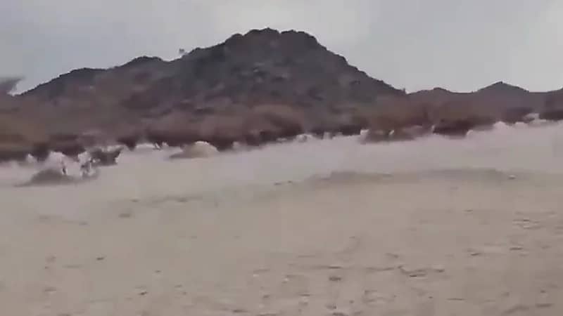 الضباب والبرد يكسو جنوب بيشة ..فيديو