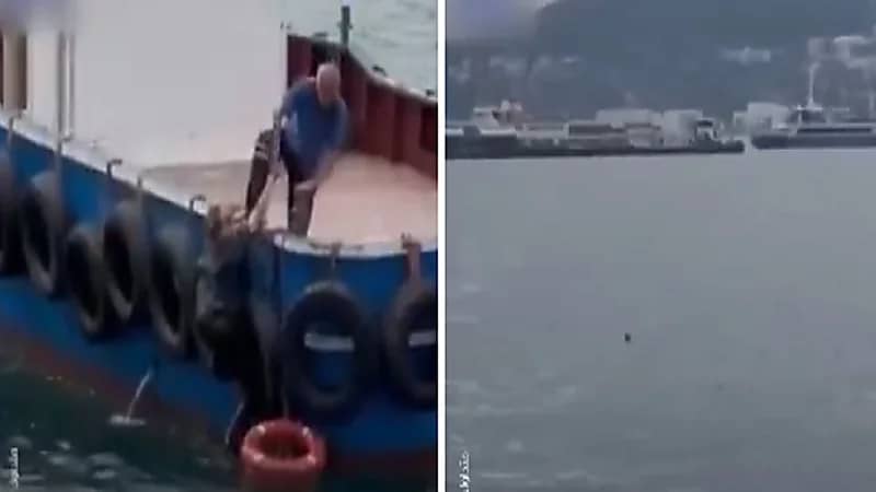 بحّار يسارع لإنقاذ امرأة سقطت من عبارة .. فيديو