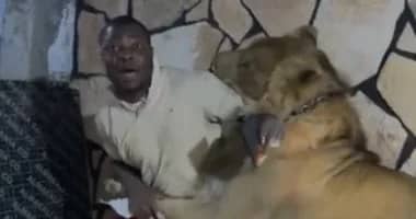 ليبي يطلق أسدًا على عماله داخل مزرعته .. فيديو